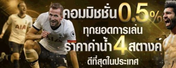 แทงบอลสดพารวย