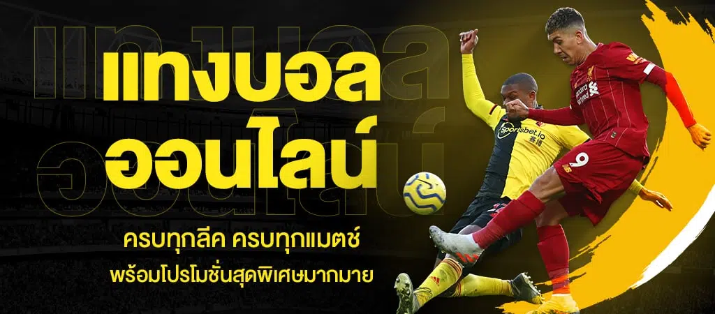 แทงบอล คุณภาพดี